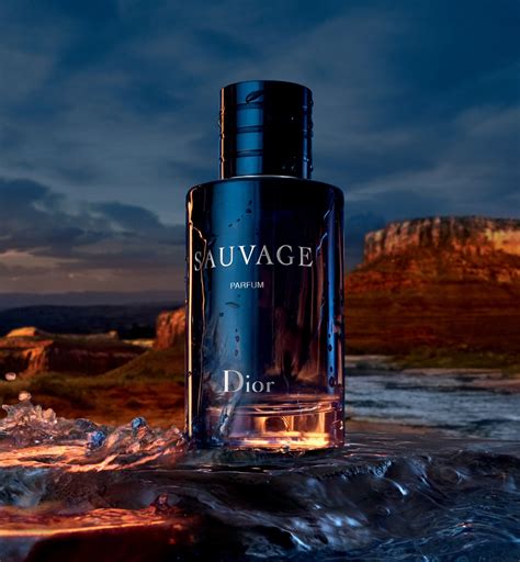 dior duavage|dior sauvage website.